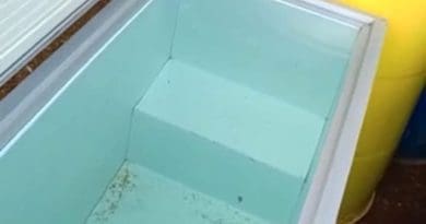 Collins Chabane, Nthavela titimuleni