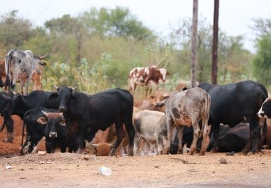VAHLAPFA VA KHOMERIWA KU YIVA SWIFUWO