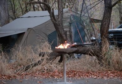 NKAMBA YA VUWISELO YA SHINGWEDZI YI PFULA